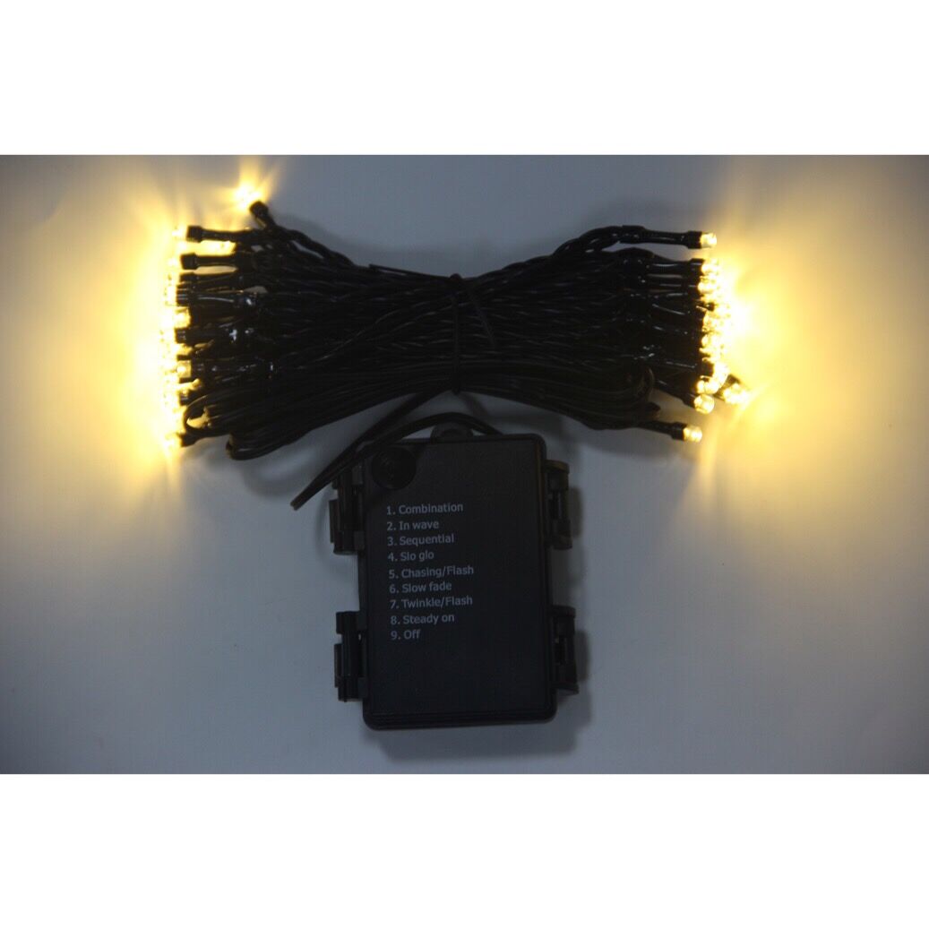 960102 50 LEDS OUTDOOR STRING LIGHTS WITH 8 FUNCTIONS