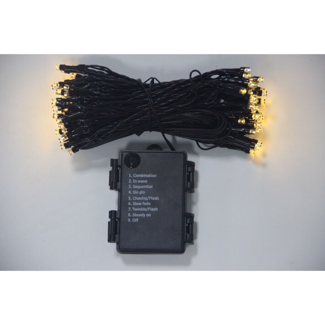 960103 100 LEDS OUTDOOR STRING LIGHTS WITH 8 FUNCTIONS