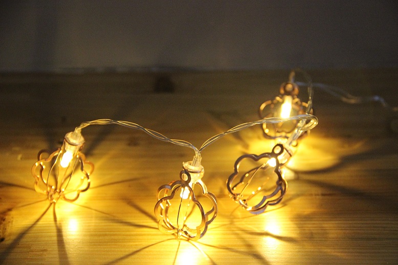 960159 10 LED METAL FLOWER STRING LIGHT